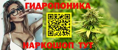 а пвп мука Ачхой-Мартан