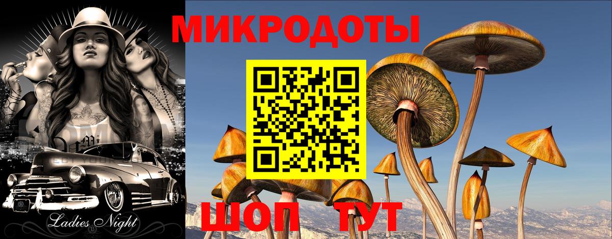 Галлюциногенные грибы Psilocybine cubensis  Вход с VPN  Полевской 