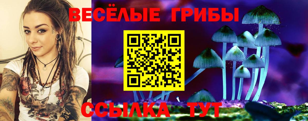 Галлюциногенные грибы ЛСД Полевской